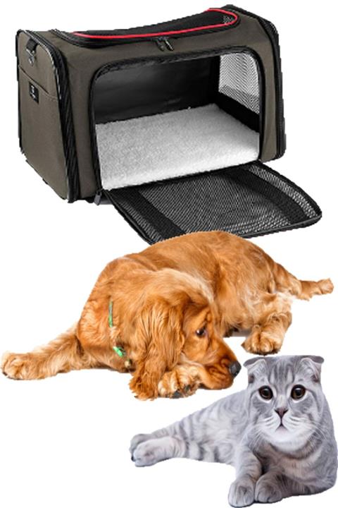 Carneil Amerikan Kedi Köpek Taşıma 4 Adet File Kapak Seyahat Çantası Askılı She106