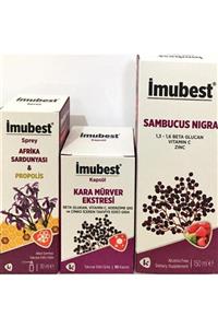 İmubest Sprey Kapsül Şurup Karamürver Propolis Betaglucan Vitamin C Çinko Koenzim Q10