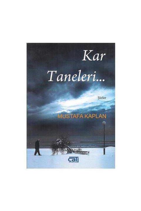 KitapSever Kar Taneleri Mustafa Kaplan
