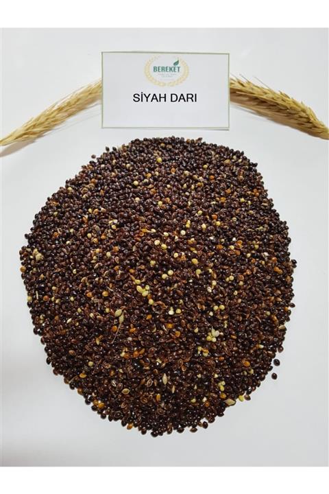 Bereketlimama Siyah Darı- Kuş Yemi-1 Kg