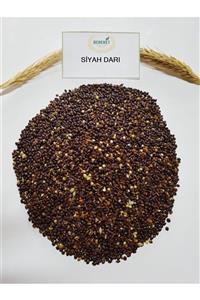 Bereketlimama Siyah Darı- Kuş Yemi-1 Kg