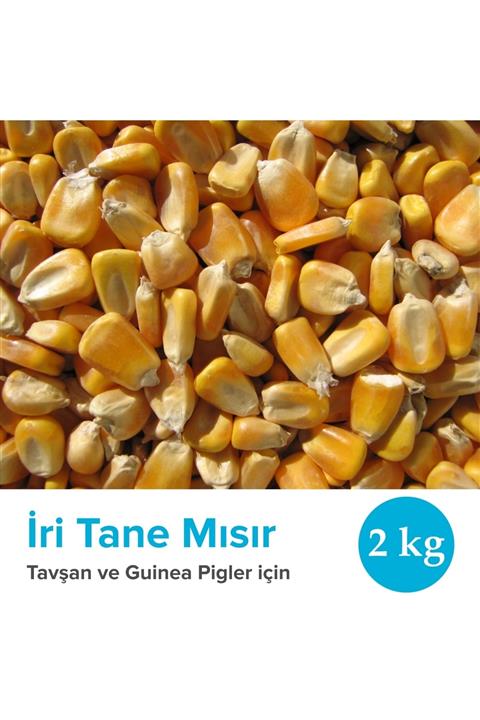 Vixpet Tavşan Ve Guinea Pigler Için Iri Tane Mısır 2 Kg