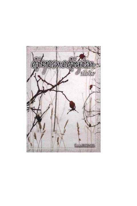 KitapSever Diyemediğim Şiirler - Ismail Hayal