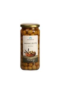 Anadolia Halhali Zeytin Hatay 300 Gr