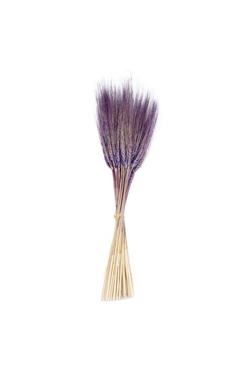 Rimmi Kuru Çiçek Doğal Başak Buğday Başağı 45 Cm Lila