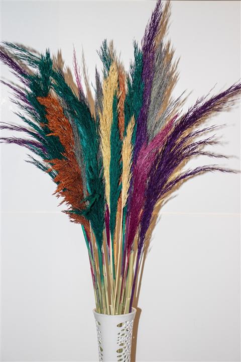 izcahome home&decoration Karışık Renkli Pampas Büyük Boy 20'li