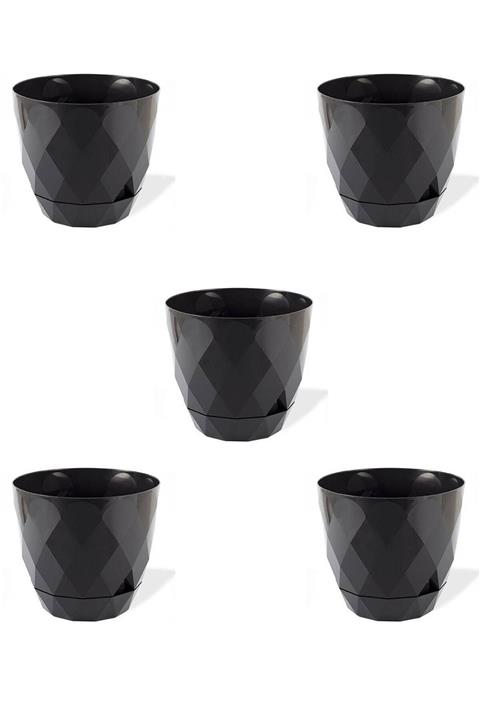 MF Botanik 5 Adet Yakamoz Kaktüs Sukulent Saksı 0,30 Litre Siyah