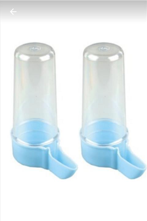 Kumru Kuş Muhabbet Suluğu