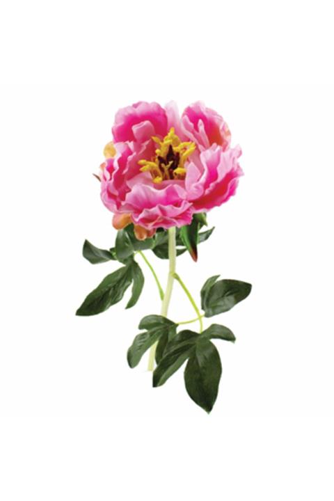 Tmall Home Design Pınk Dallı Çiçek