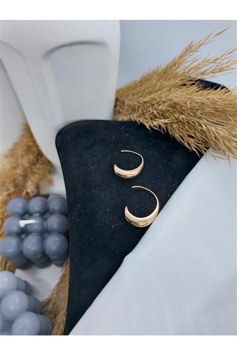 bestaccessoriess Çelik Rose Lal Küpe