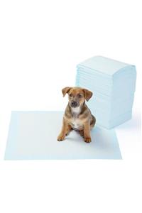 Goodcare Kedi Köpek Çiş Eğitim Pedi 60x90 80 Adet