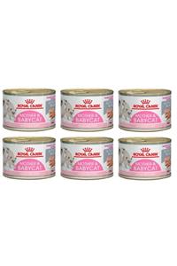 Royal Canin Mother&babycat Kedi Konservesi 195 Gr (6 Adet)