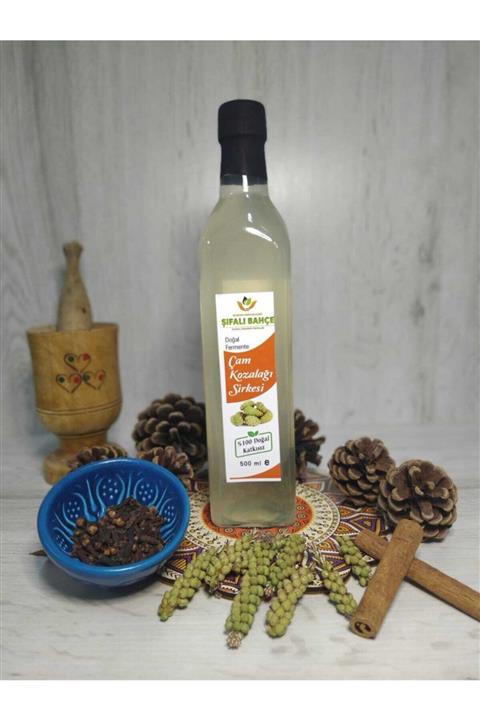 şifalı bahçe Çam Kozalağı Sirkesi (500 Ml)