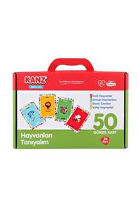 Kanz /Enfal Oyuncak Kanz Hayvanları Tanıyalım