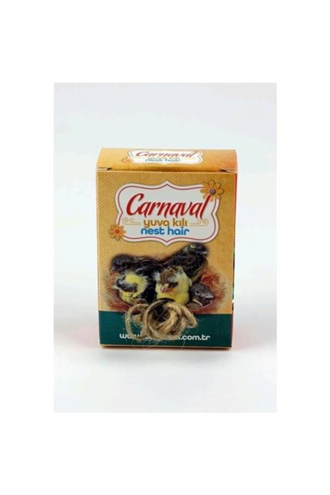 Carnaval Yuva Kılı Kutu