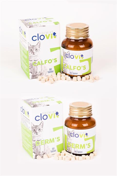 Clovit Cat Calfo's + Cat Derm's Avantajlı 2'li Set 8680434202465