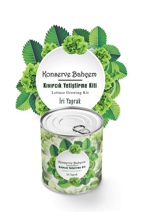 Konserve Bahçem Kıvırcık Yetiştirme Kiti - Sebze Fidesi Yetiştirme Kiti Kıvırcık Tohumu Ve Torf Seti