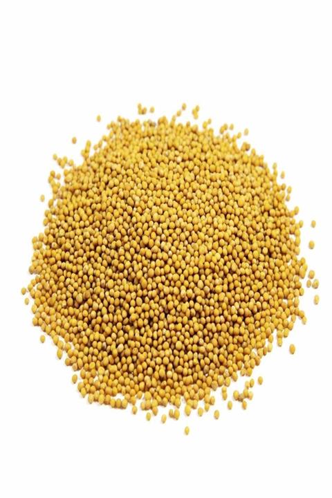 Mecitefendi Hardal Tohumu Sarı 100 Gr