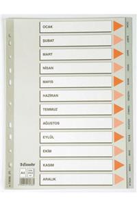 Esselte Ocak-aralık Separatör Slt-13936