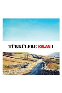 plakmarketi Türkülerle Kalan/1-cd