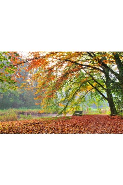 Decoratica 3 Boyutlu Sonbahar Manzaralı Duvar Kağıdı