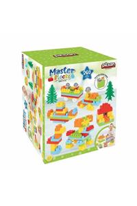 PİLSAN Master Bloks Kapaklı Kutu 260 Parça