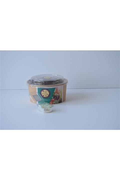 Neşeli Bahçe Bitki Yetiştirme Kiti Kemer Patlıcan