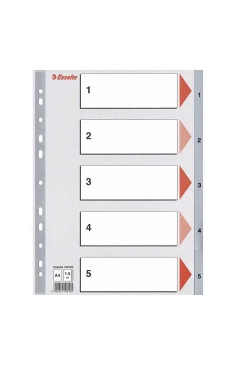 Esselte Seperatör 1-5 Rakamlı Plastik A4
