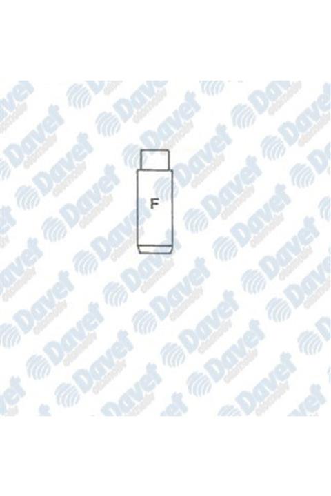 ÖZGAYD Subap Gaydı Tk Boxer Sofım 2.5d-td Master 2.5d S8u