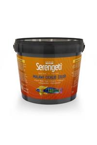 Serengeti Malawi Cıchlıd Color Balık Yemi 3 Kg