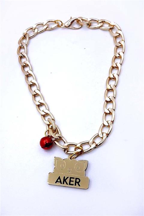 Aker Hediyelik Paslanmaz 35cm Kedi Köpek Tasması + Gold Gümüş Isimlik Künye