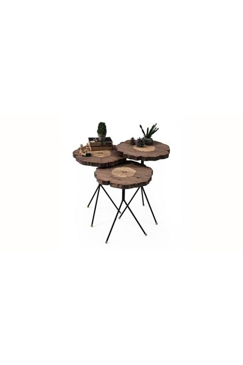 BEKALIVING Nero Ceviz Ahşap Üçlü Zigon Modern Minimal Yan Sehpa Nordic 3 Lü Sehpa Takımı