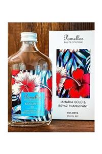 Pomellos Jamaika Gülü & Beyaz Frangipani Cam Şişe 80 Derece 250 ml