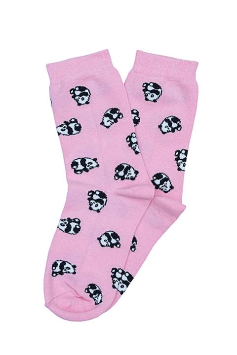 Socks Tunnel Panda Desenli Renkli Çorap
