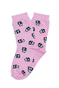 Socks Tunnel Panda Desenli Renkli Çorap