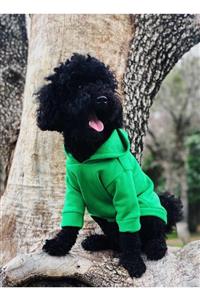 Pawplus Pet Butik Yeşil Köpek Kıyafeti (Hoodie)