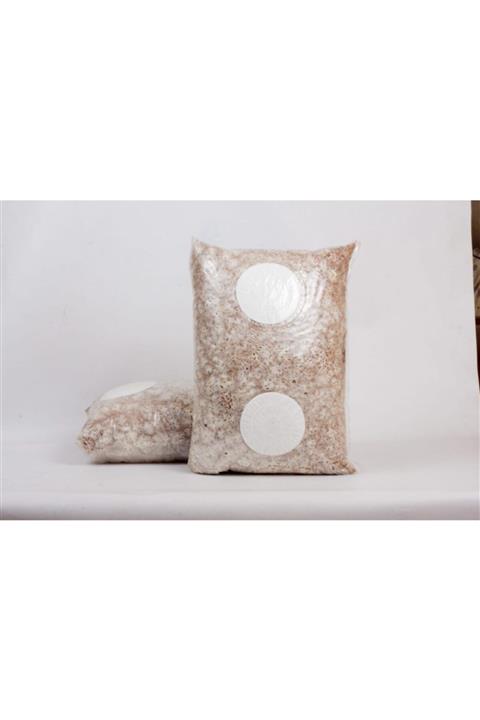 şifamantar Mikolab Alfa Misel C-06 Istiridye Mantarı Tohumu