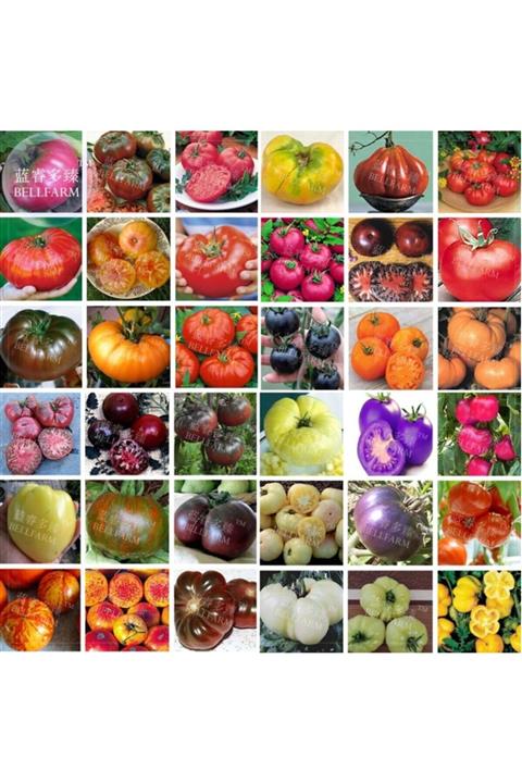 Farmer Life 100 Adet 100 Çeşit Domates Tohumu + ( Hediye Tohum )