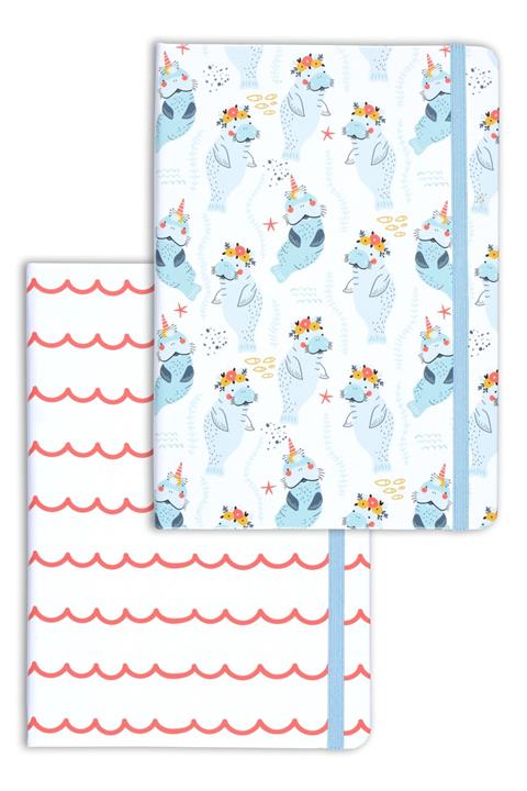 Matt Notebook A5 2'li Defter Seti 15x21 Cm Çizgili Fok