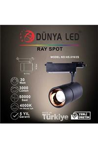 DÜNYA LED Hs.519/2s 30w Cob Led Ray Spot Siyah Kasa 4000k Ilık Beyaz Işık