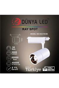 DÜNYA LED 30 w Cob Led Ray Spot Beyaz 4000 k Ilık