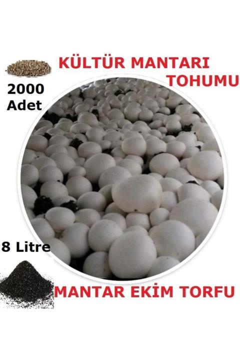 TohumGübre 2000 Adet Kültür Mantarı Tohumu Ve 8 Litre Kültür Mantarı Ekim Torfu