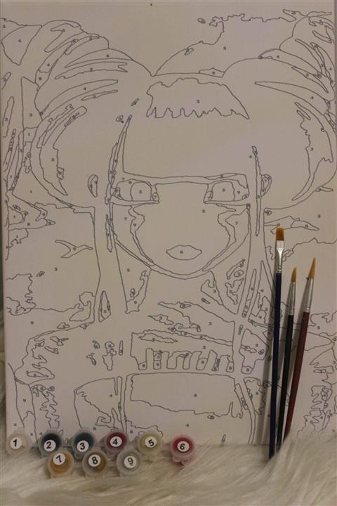 Nil Hobi Sayılarla Boyama Seti