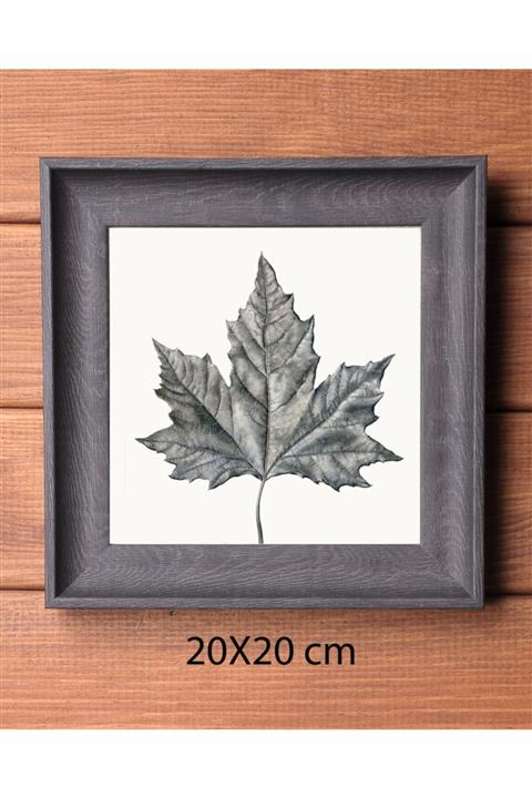 YEDİTEPEHAYAT Ahşap Kare Fotoğraf Çerçevesi 20x20