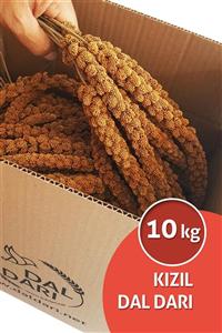 Dal Darı Net Kızıl Dal Darı 10 Kg