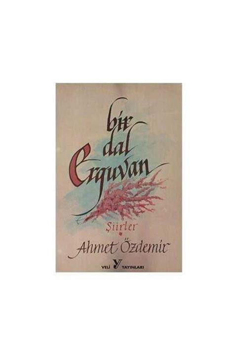 KitapSever Bir Dal Erguvan - Ahmet Özdemir