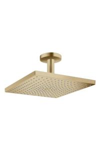 Hansgrohe Raindance E Tepe Duşu 300 1 Jet Tavan Bağlantılı Mat Bronz