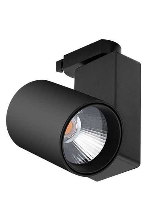 Apliqa Ray Spot 30 Watt 5000k Siyah Kasa Monofaze