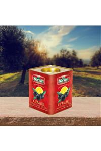 Nursan Gıda Mega Zeytin 4 kg
