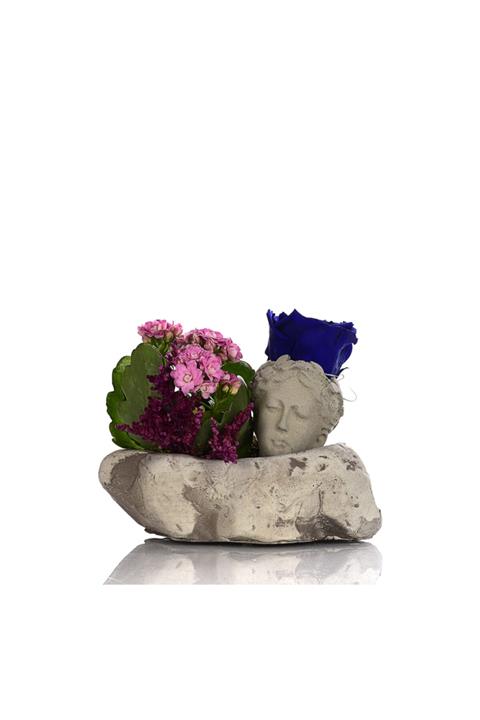 ciceksanat Kalanchoe Ve Solmayan Gül Parlament Mavisi